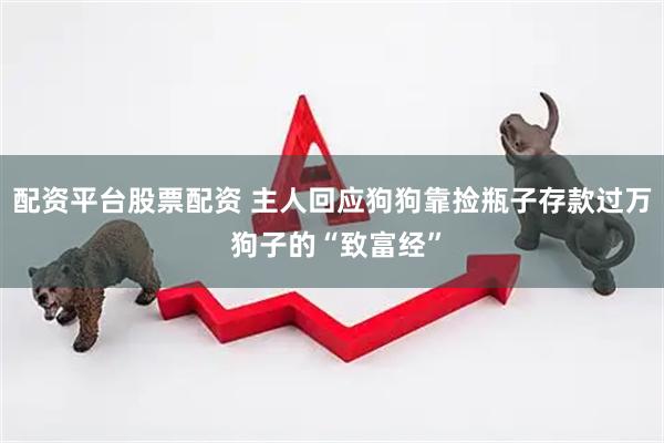 配资平台股票配资 主人回应狗狗靠捡瓶子存款过万 狗子的“致富经”