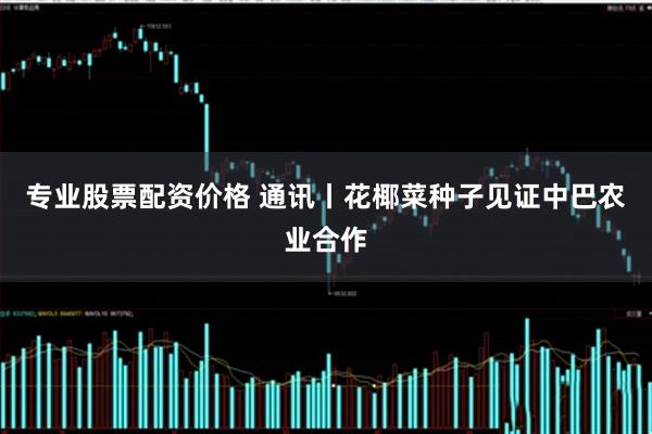 专业股票配资价格 通讯丨花椰菜种子见证中巴农业合作