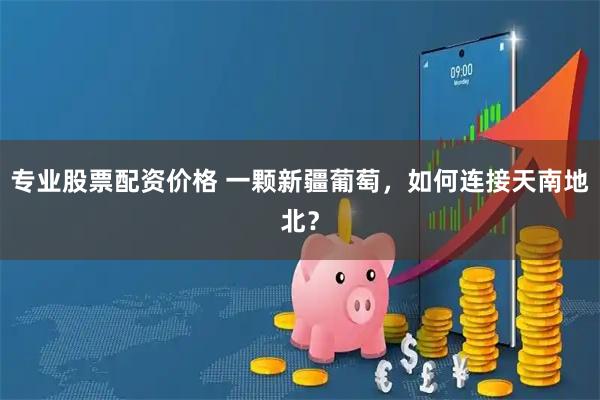 专业股票配资价格 一颗新疆葡萄，如何连接天南地北？