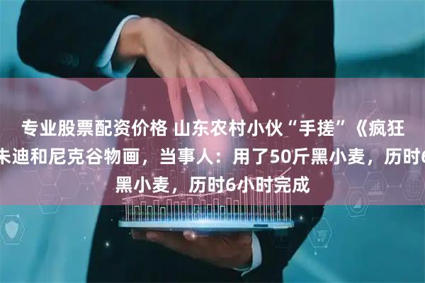 专业股票配资价格 山东农村小伙“手搓”《疯狂动物城》朱迪和尼克谷物画，当事人：用了50斤黑小麦，历时6小时完成