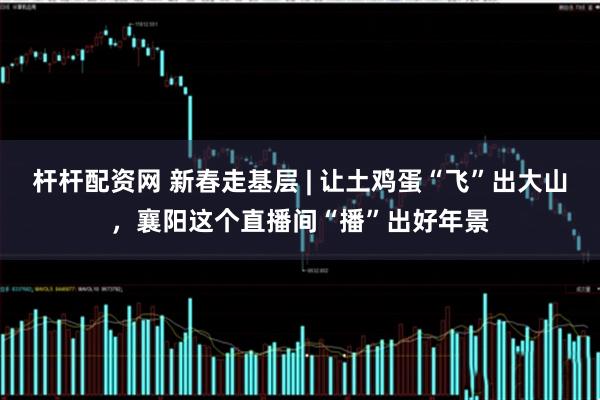 杆杆配资网 新春走基层 | 让土鸡蛋“飞”出大山,襄阳这个直播间“播”出好年景